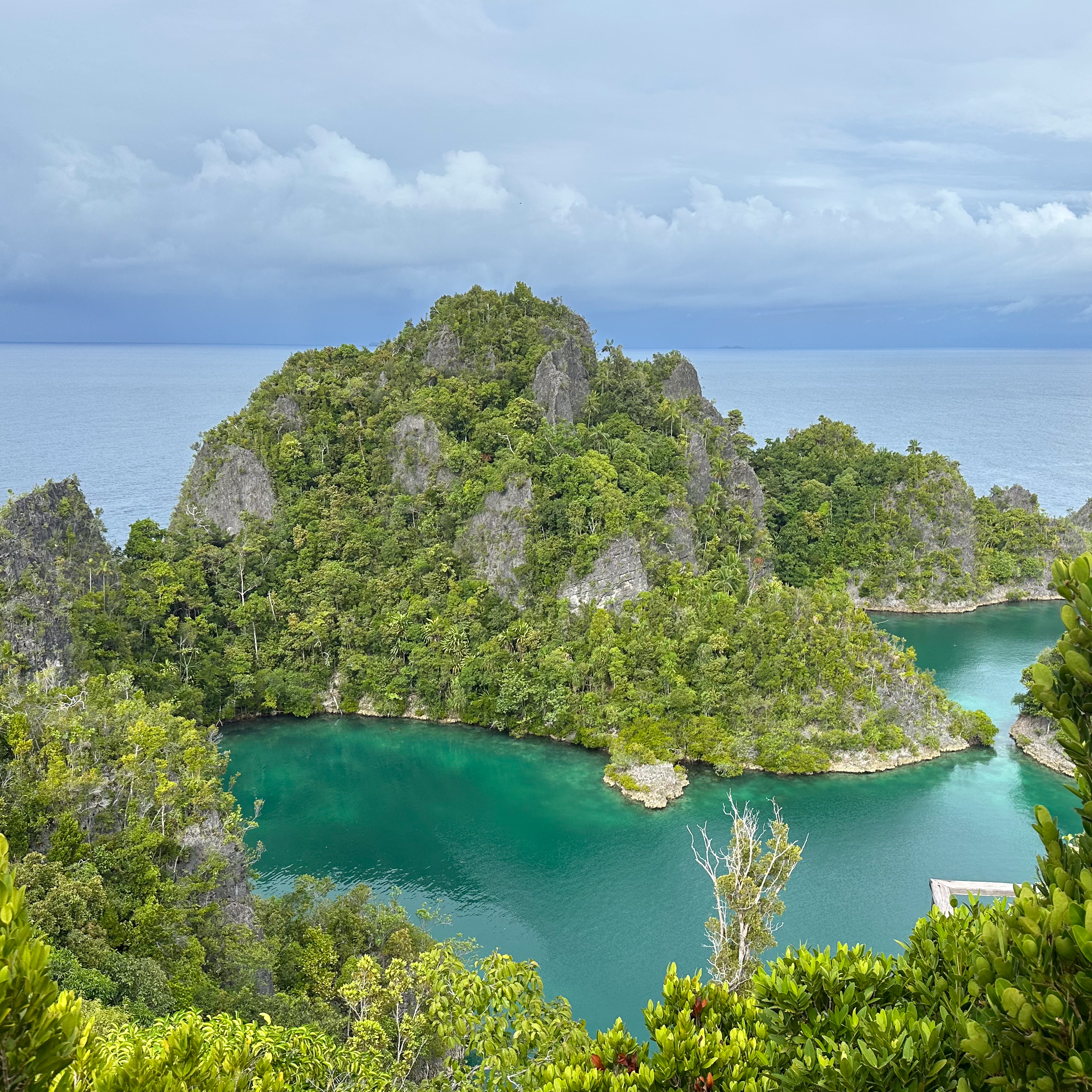 New Zealand and Raja Ampat